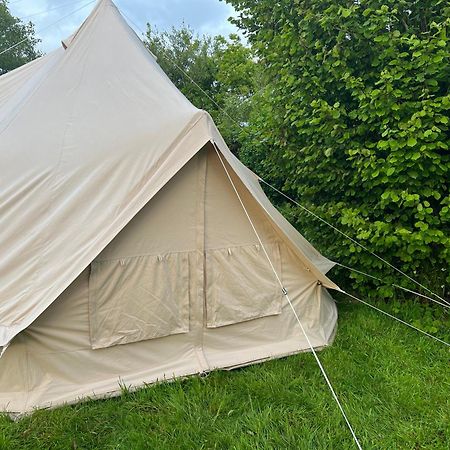Bluebell Tent At Ballyward Croft Ardkeen Ngoại thất bức ảnh
