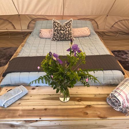 Bluebell Tent At Ballyward Croft Ardkeen Ngoại thất bức ảnh