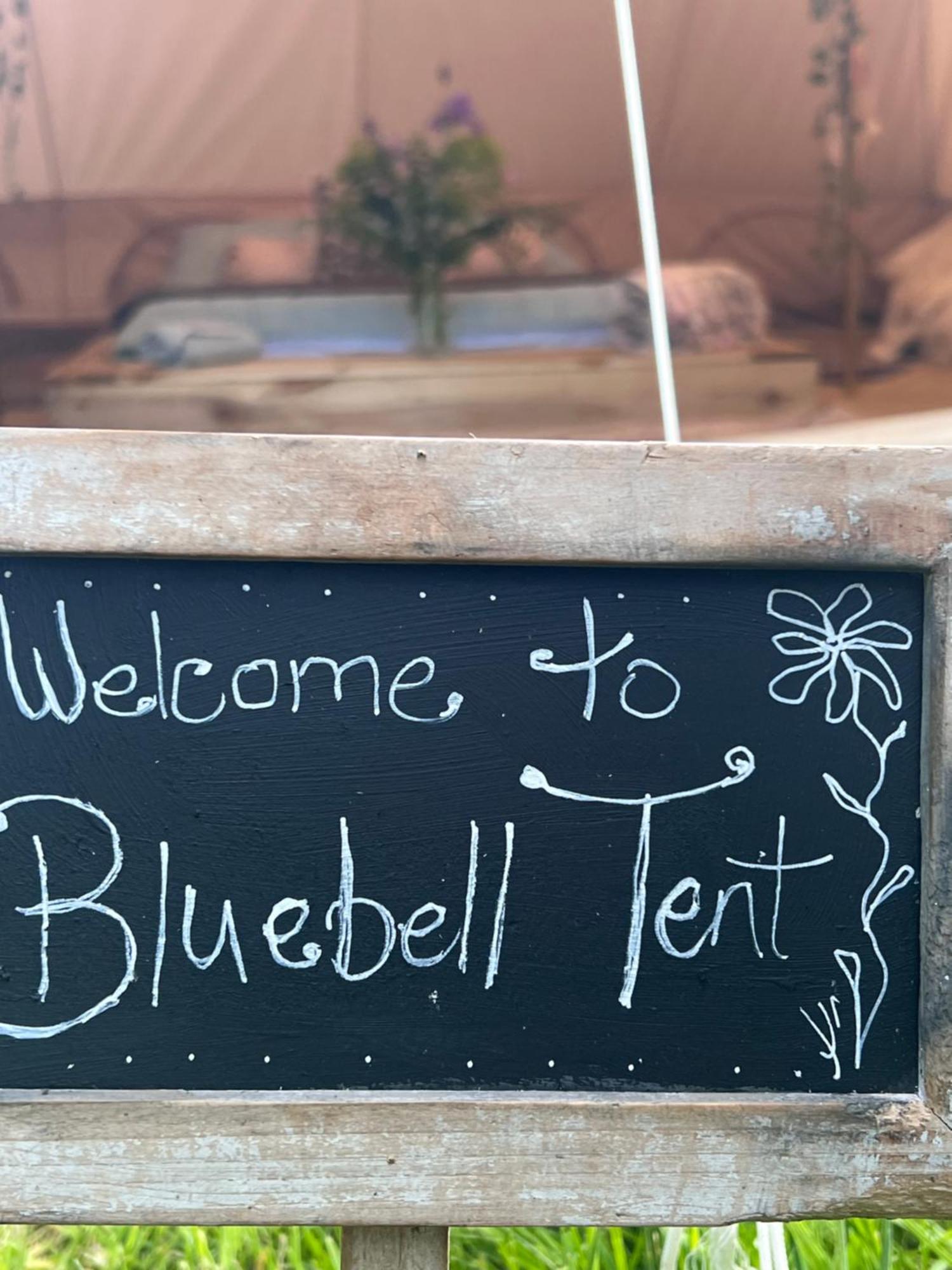 Bluebell Tent At Ballyward Croft Ardkeen Ngoại thất bức ảnh