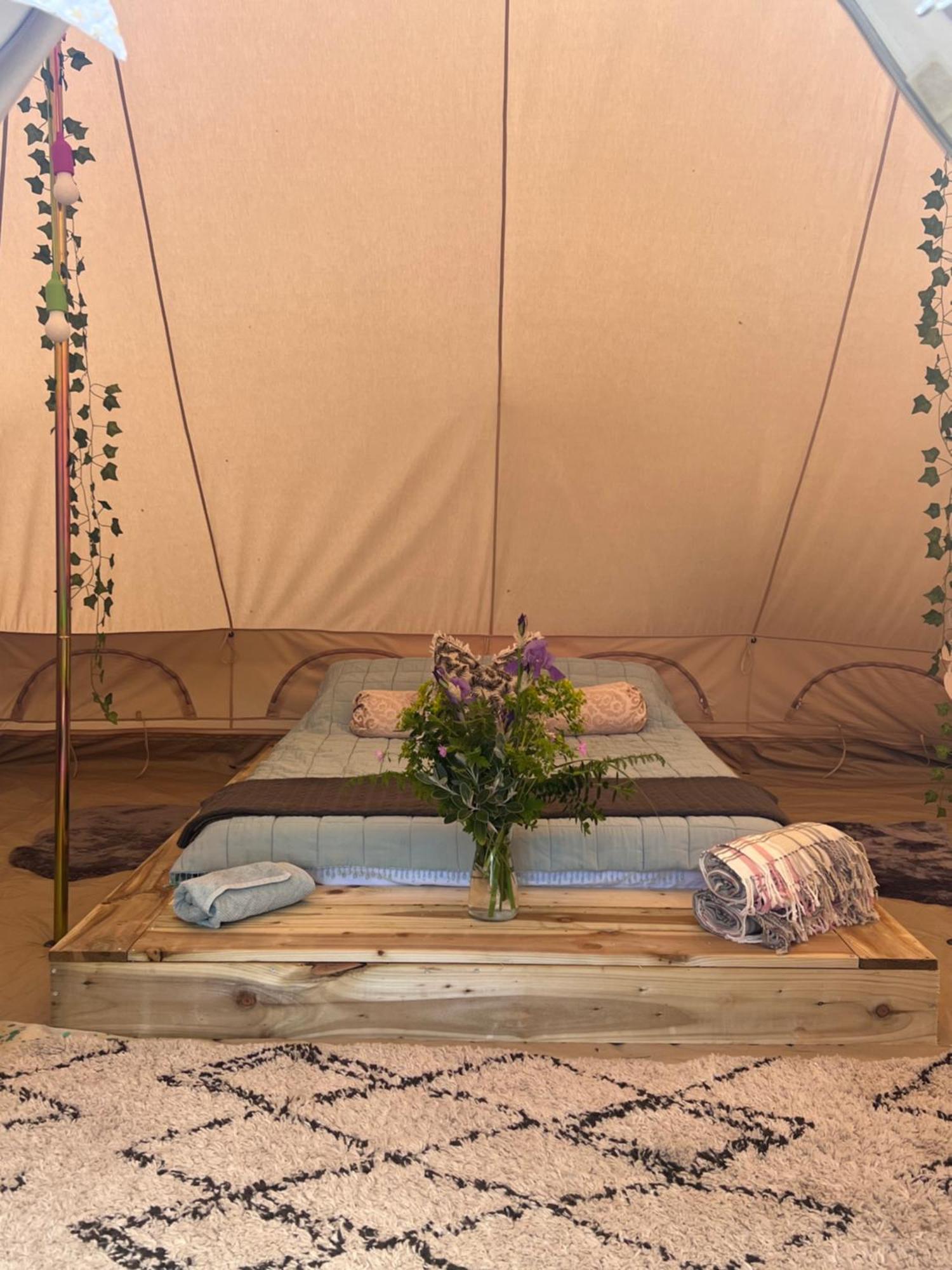 Bluebell Tent At Ballyward Croft Ardkeen Ngoại thất bức ảnh