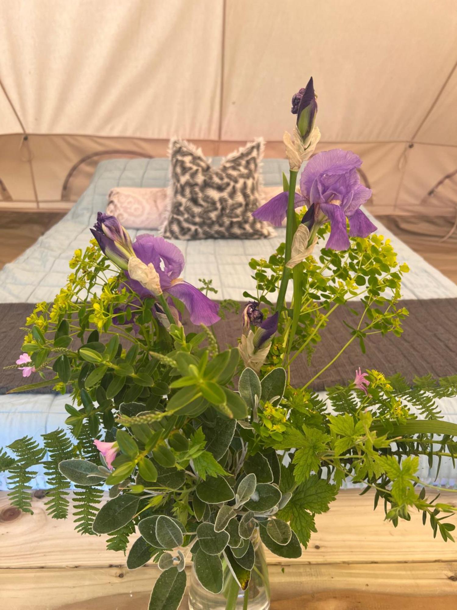 Bluebell Tent At Ballyward Croft Ardkeen Ngoại thất bức ảnh