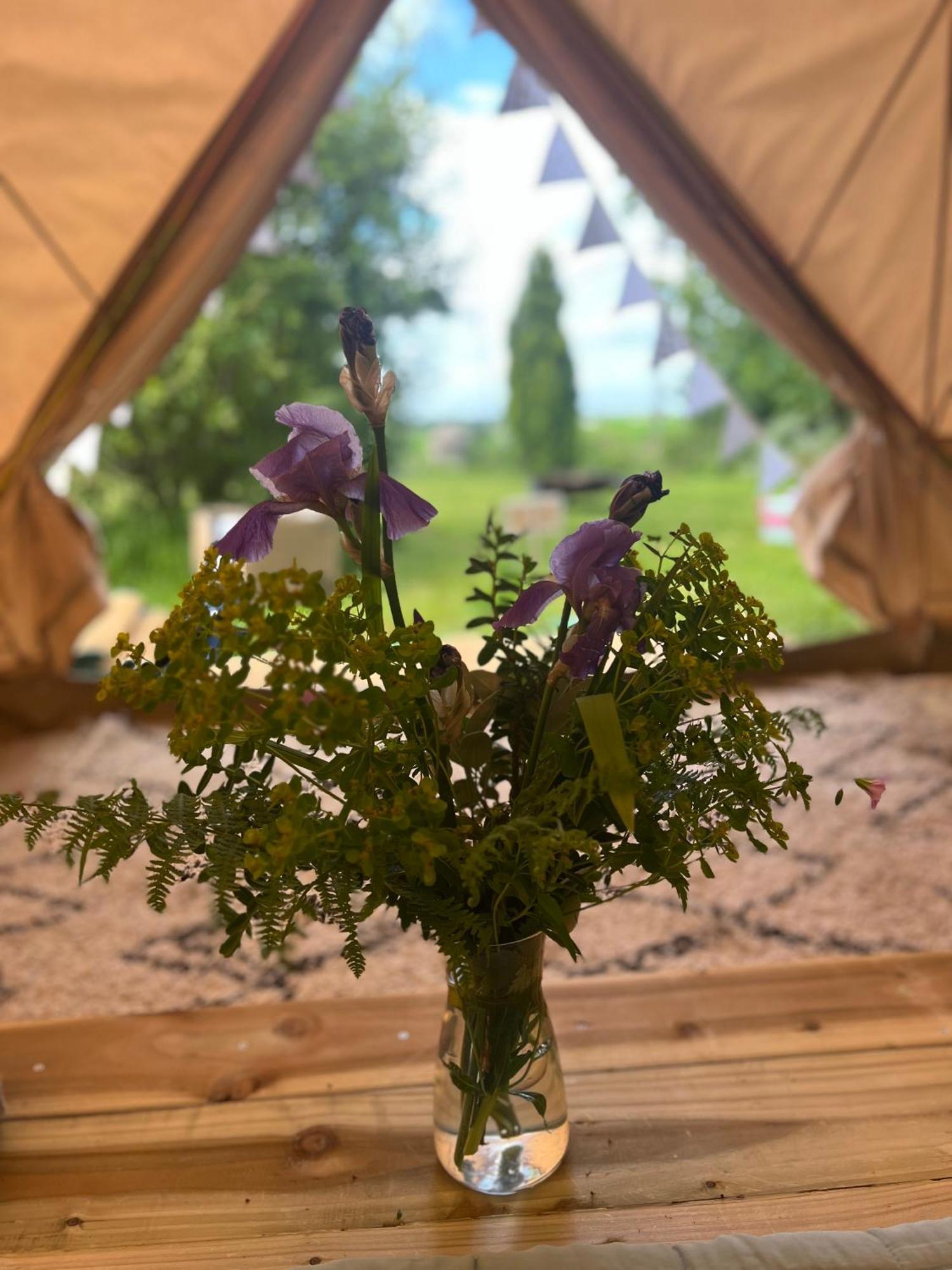Bluebell Tent At Ballyward Croft Ardkeen Ngoại thất bức ảnh